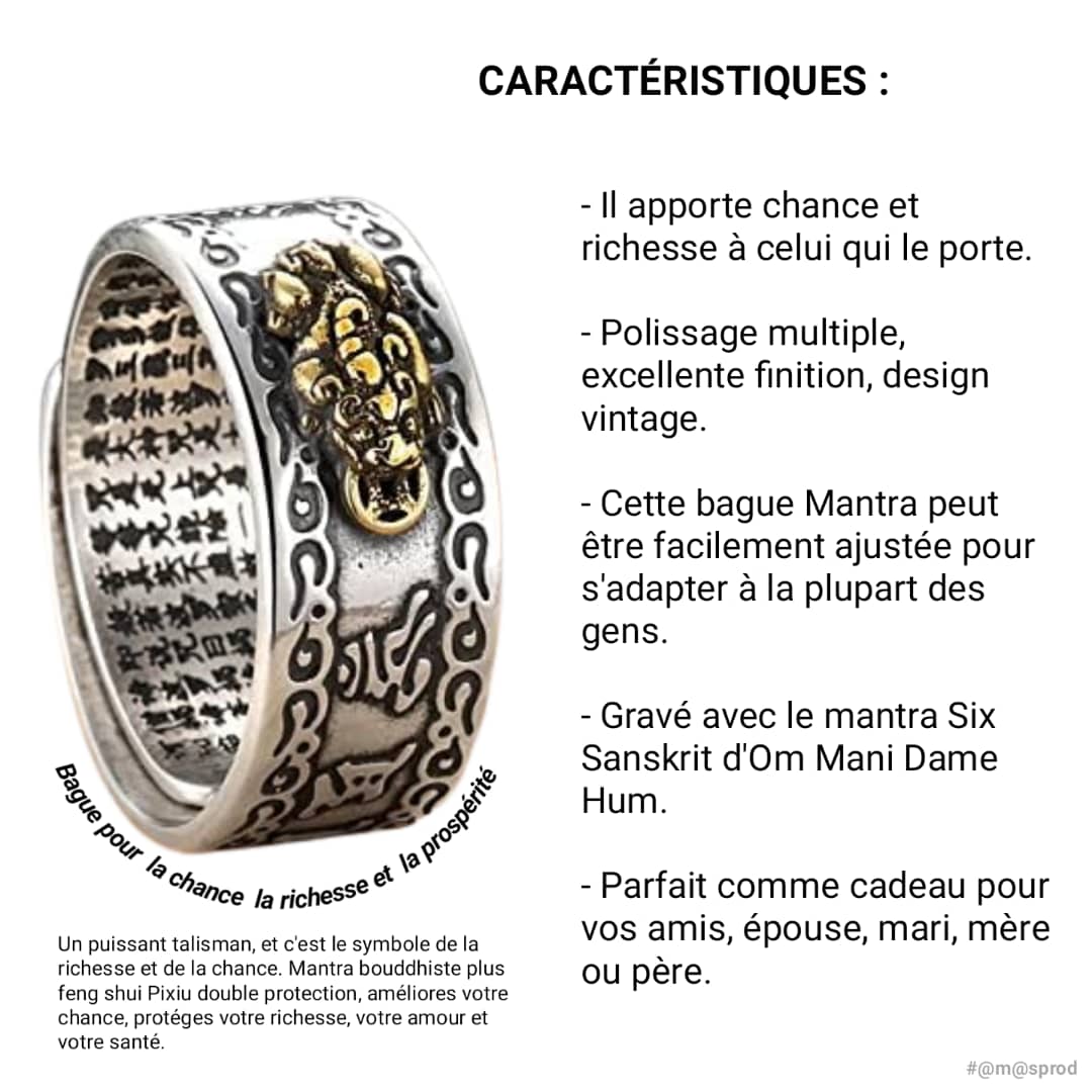 image - BAGUE_DE_CHANCE_&_PROSPéRITé_